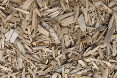 biomass boilers Clachaig